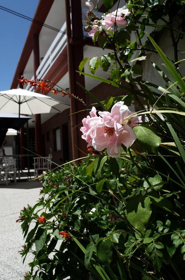 Hosteria Robert Villa Gesell Exterior foto